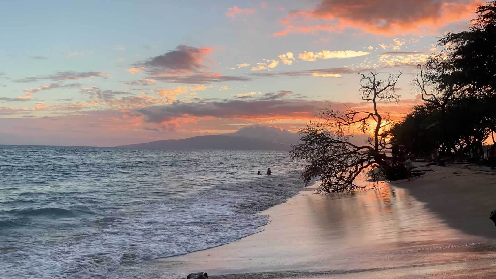 Ululani's Hawaiian Shave Ice