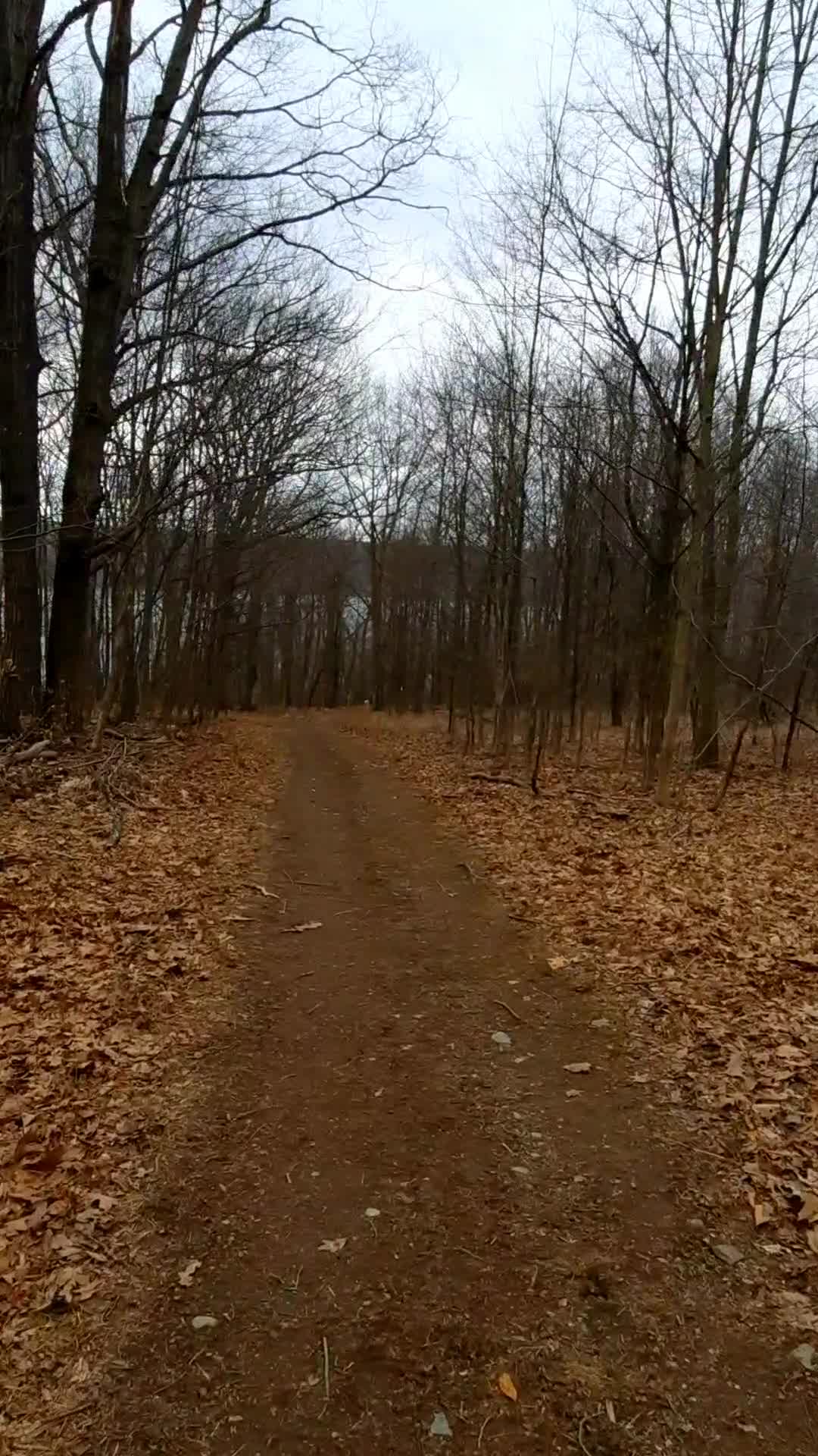 Sims-Jennings Preserve at Cayuga Cliffs