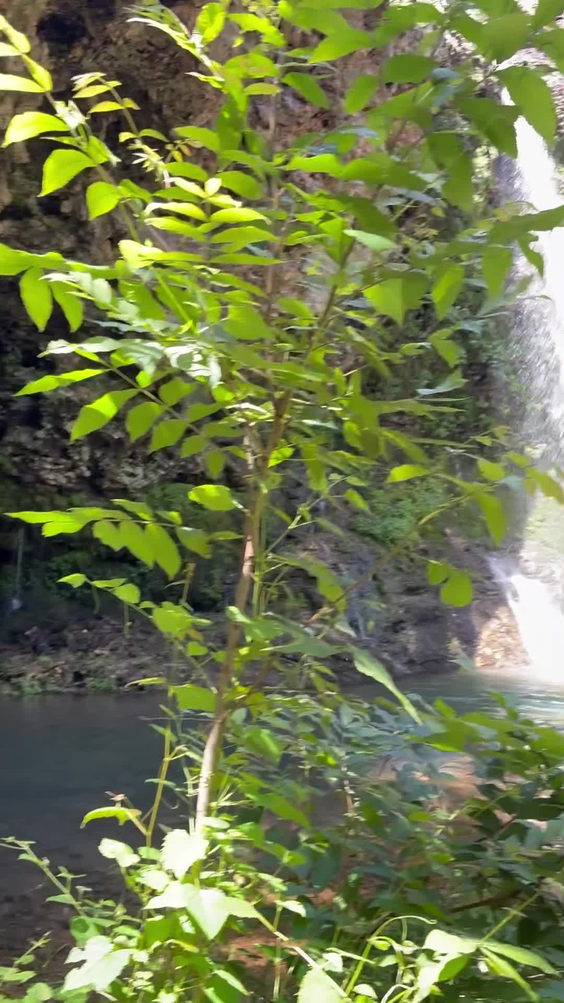 Natural Falls State Park