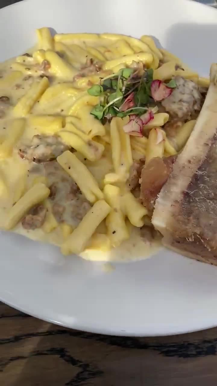 Video review of Barbusa