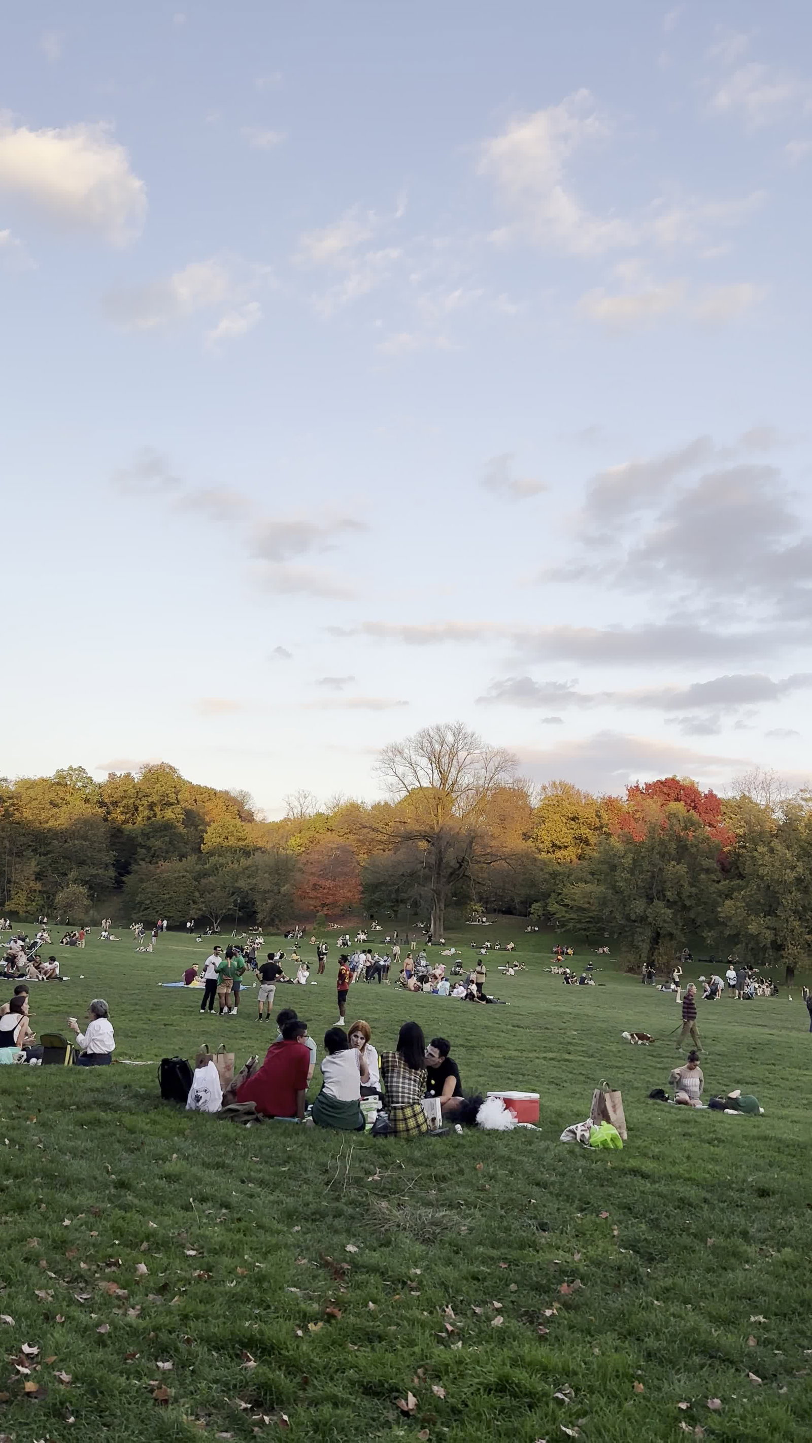 Video review of Mount Prospect Park