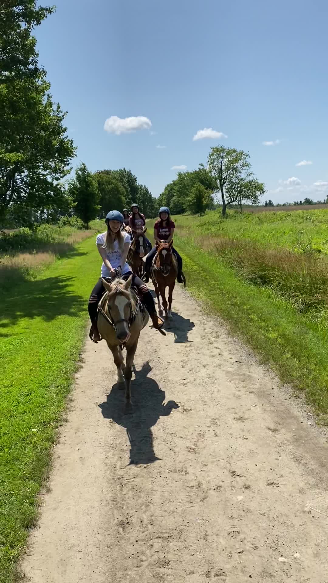 Lee's Riding Stable at Windfield Morgan Farm