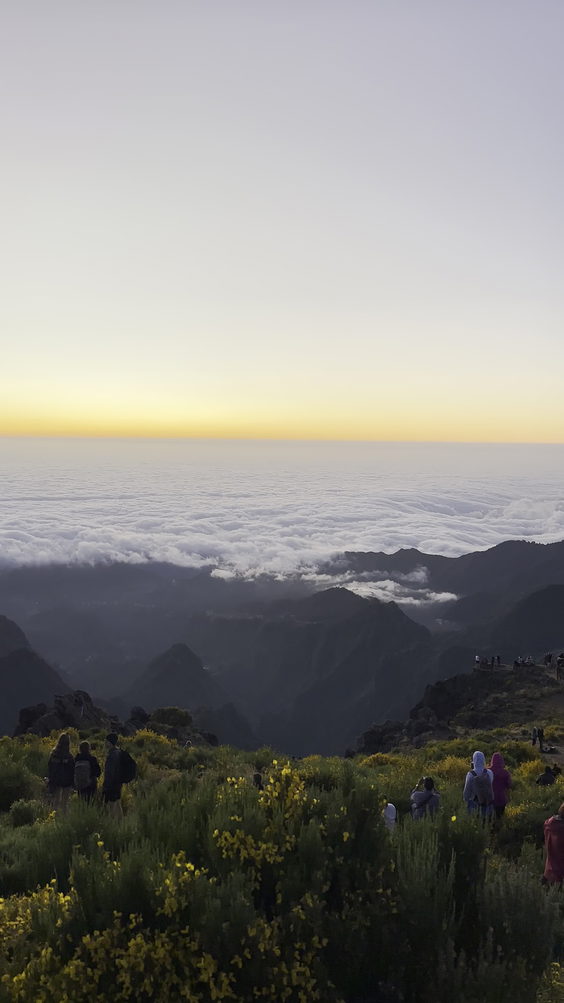 Pico das torres