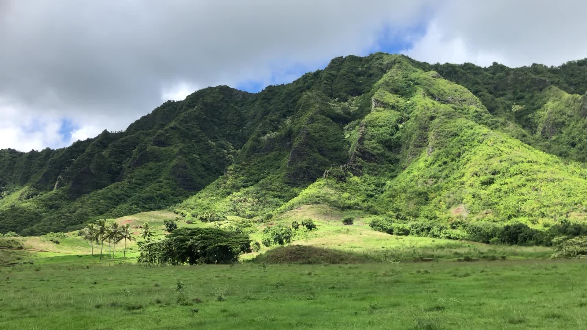 Kualoa Ranch