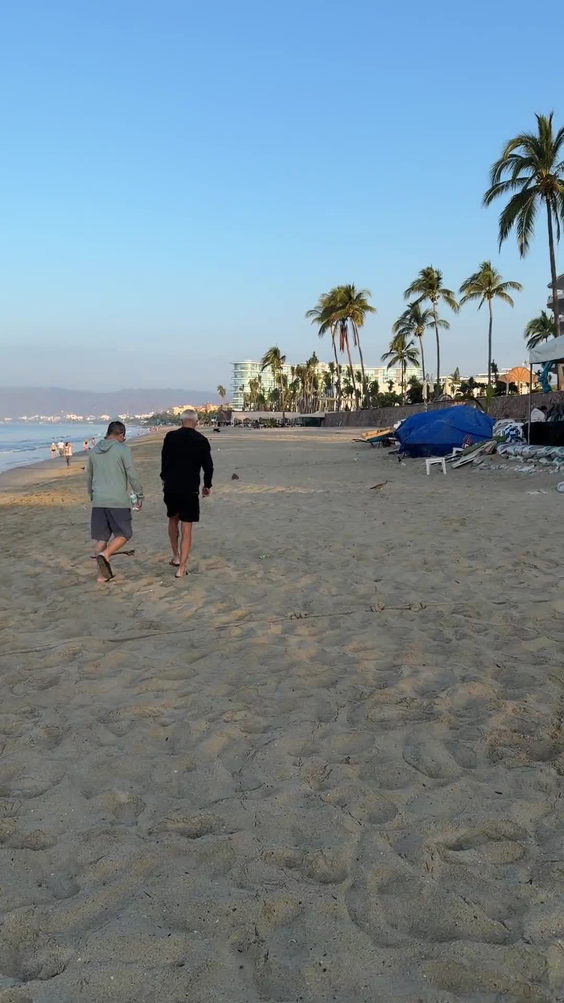 Hotel Riu Vallarta