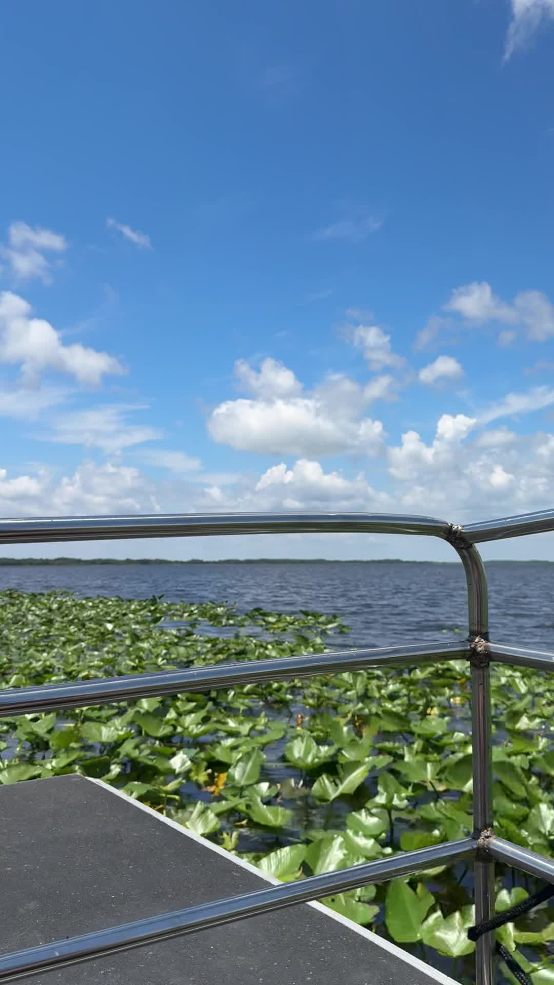 Wild Florida Airboats & Gator Park