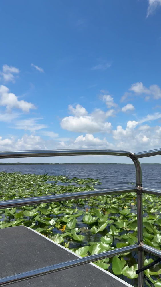 Wild Florida Airboats & Gator Park