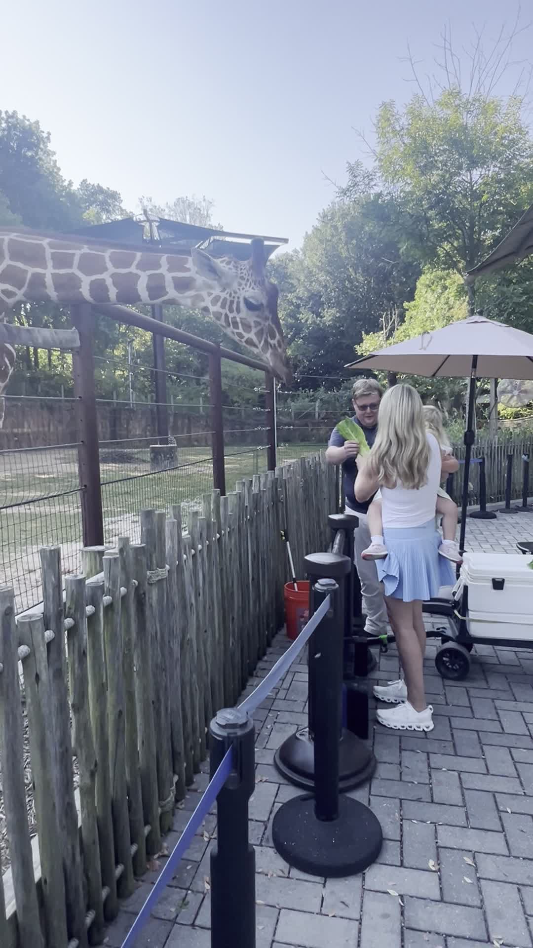 Video review of Zoo Atlanta
