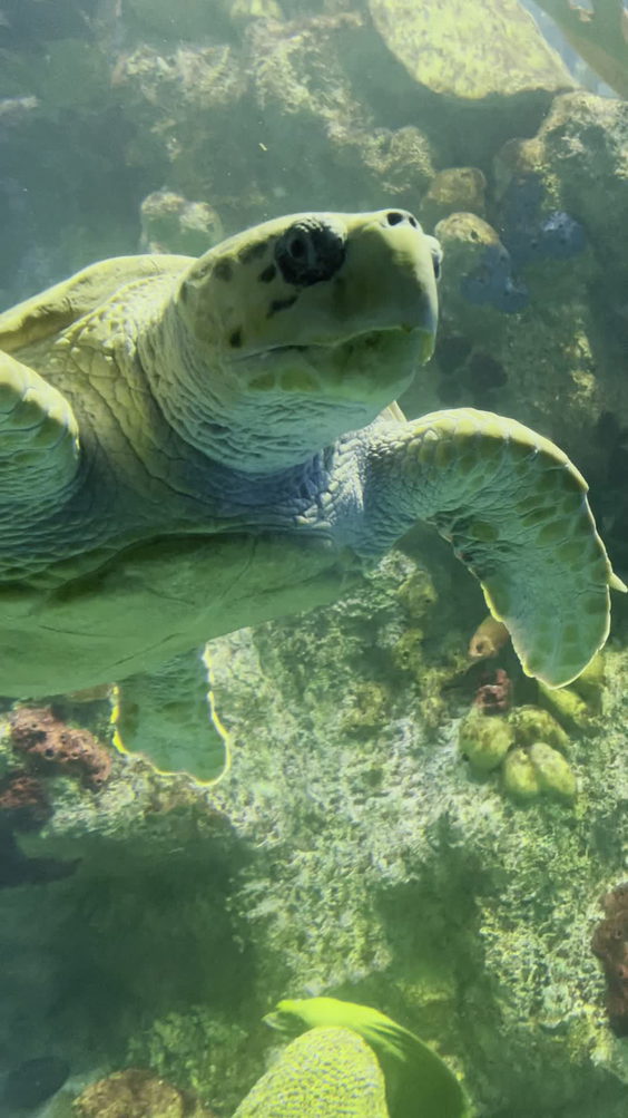 New England Aquarium