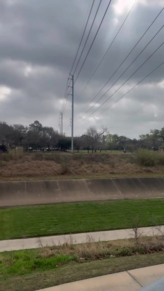 Mcwilliams dog park 
