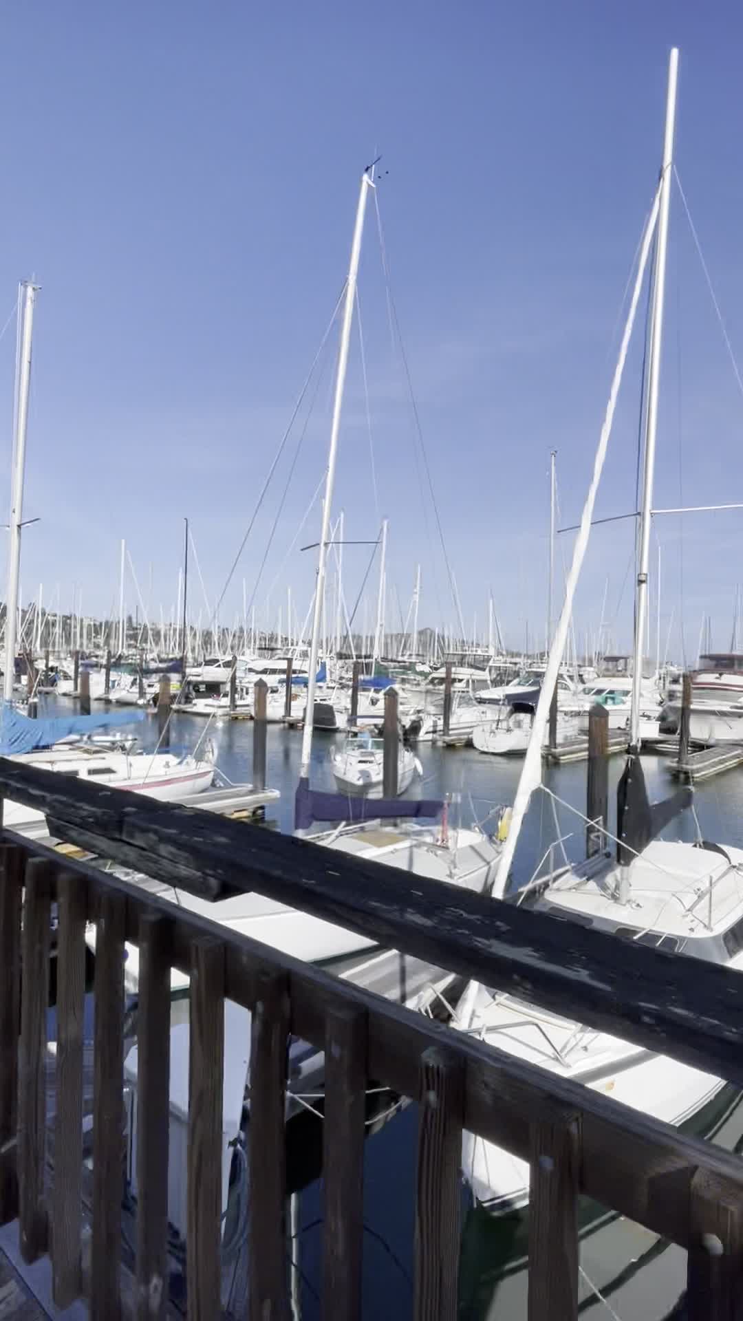 Video review of Sausalito Yacht Harbor