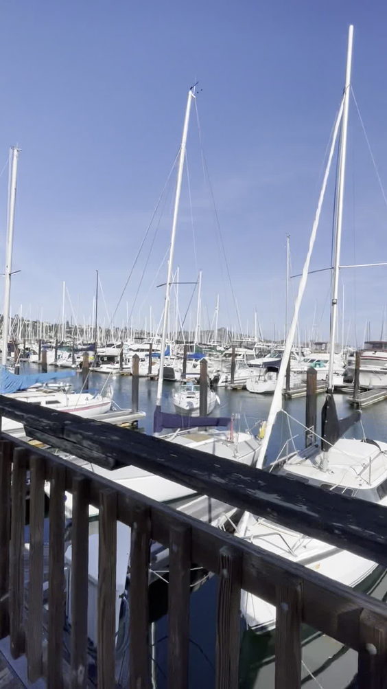 Sausalito Yacht Harbor