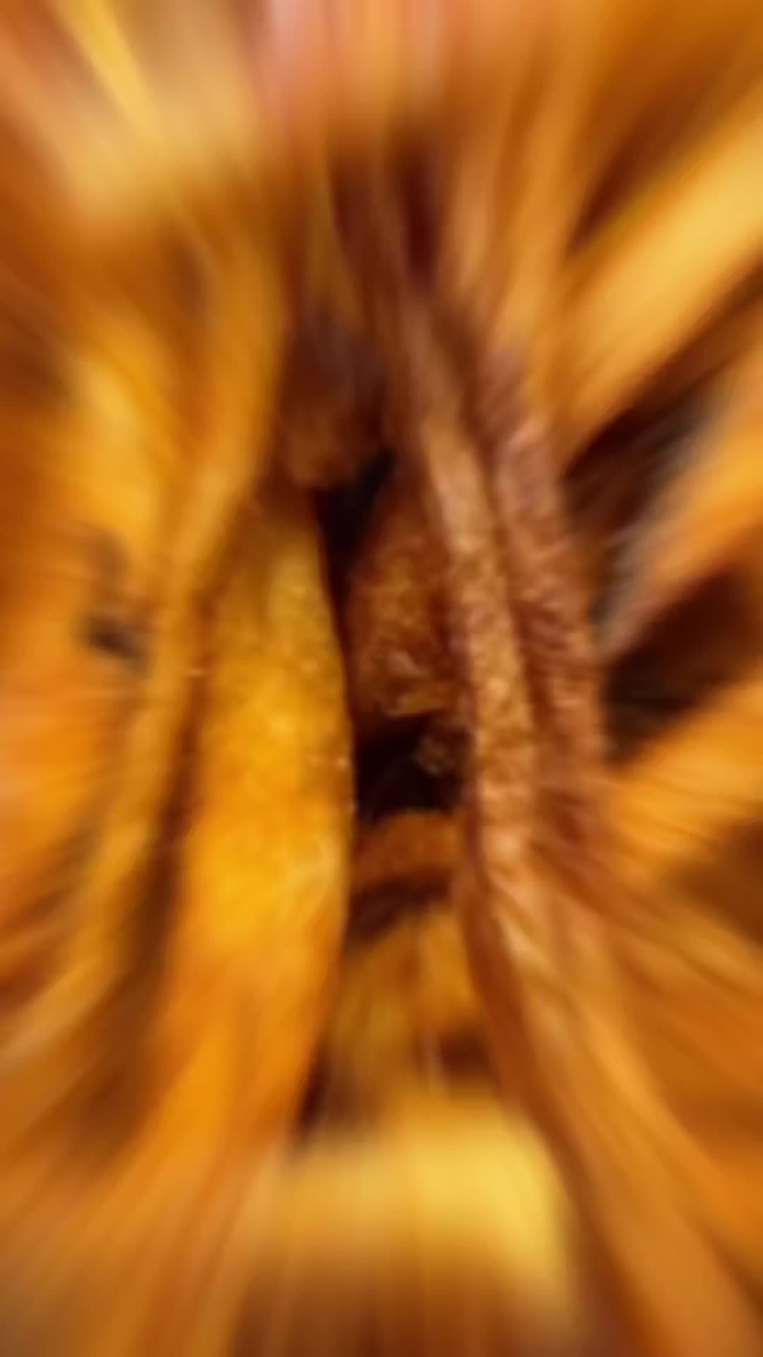 Video review of Tonyburgers