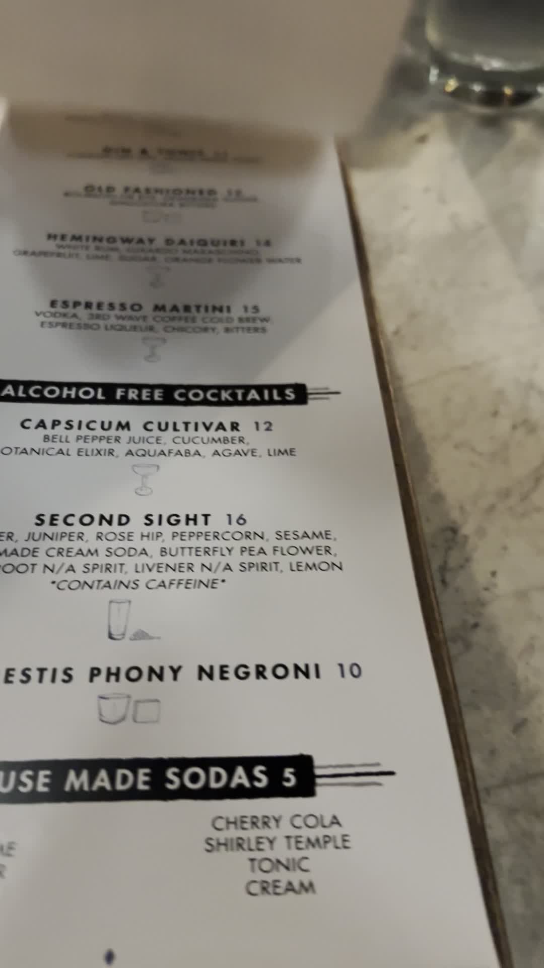 Video review of The Ice Plant