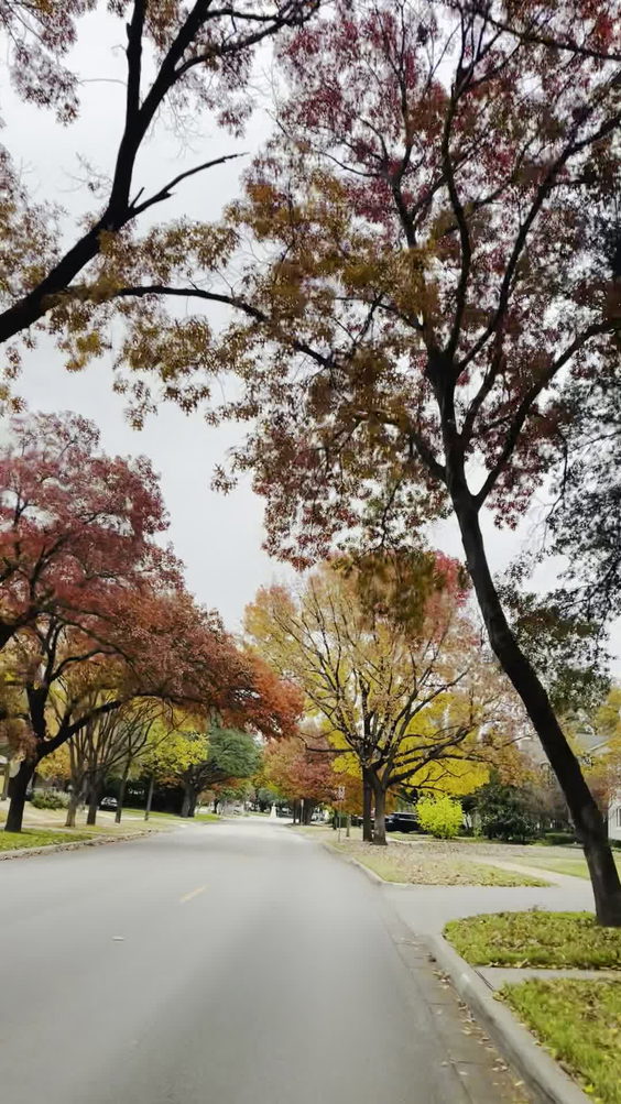 Highland Park Village