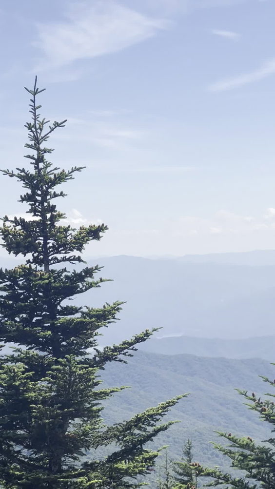 Appalachian Trail Clingmans Dome Section