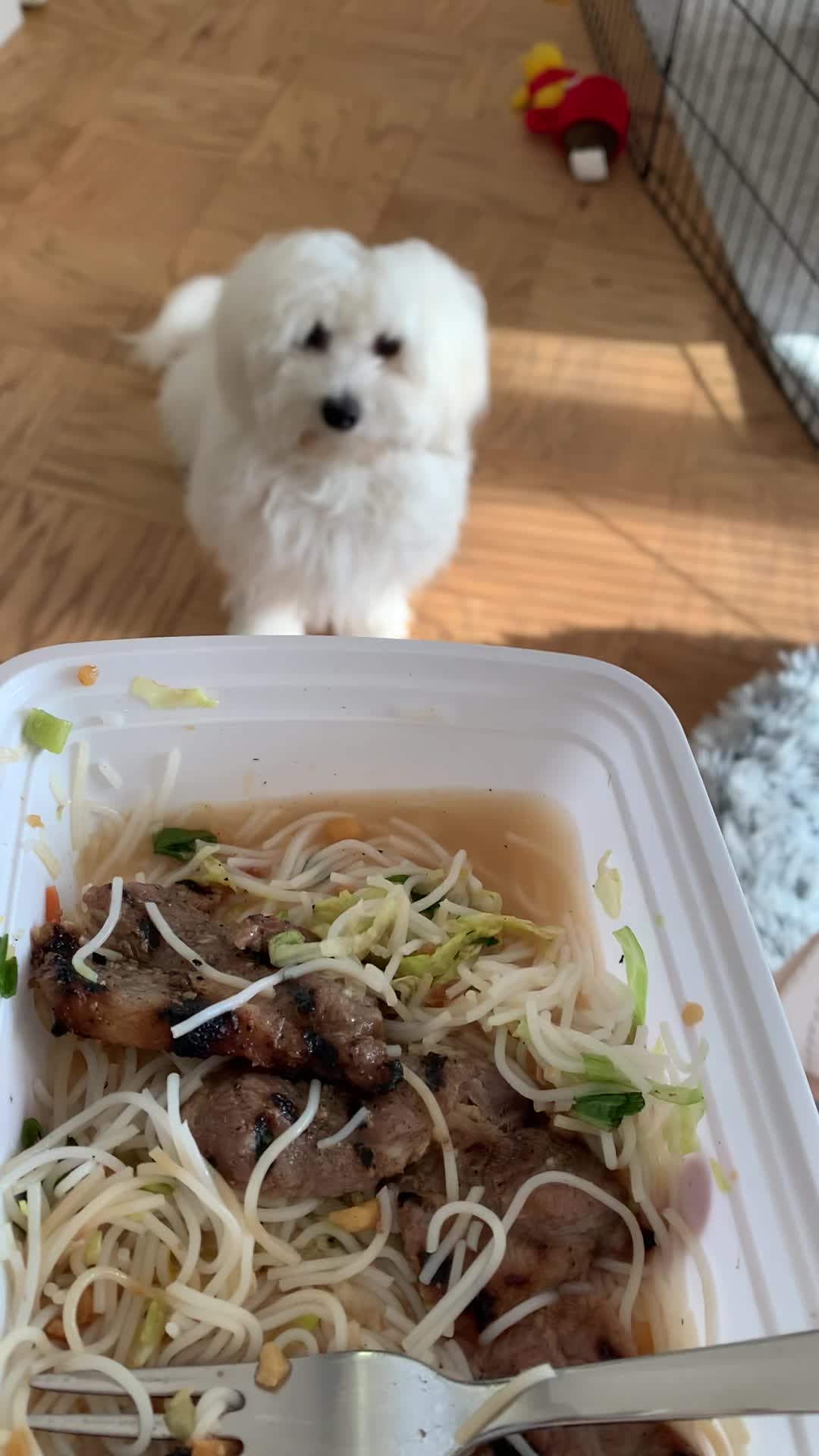 Video review of Nam Son Vietnamese Restaurant