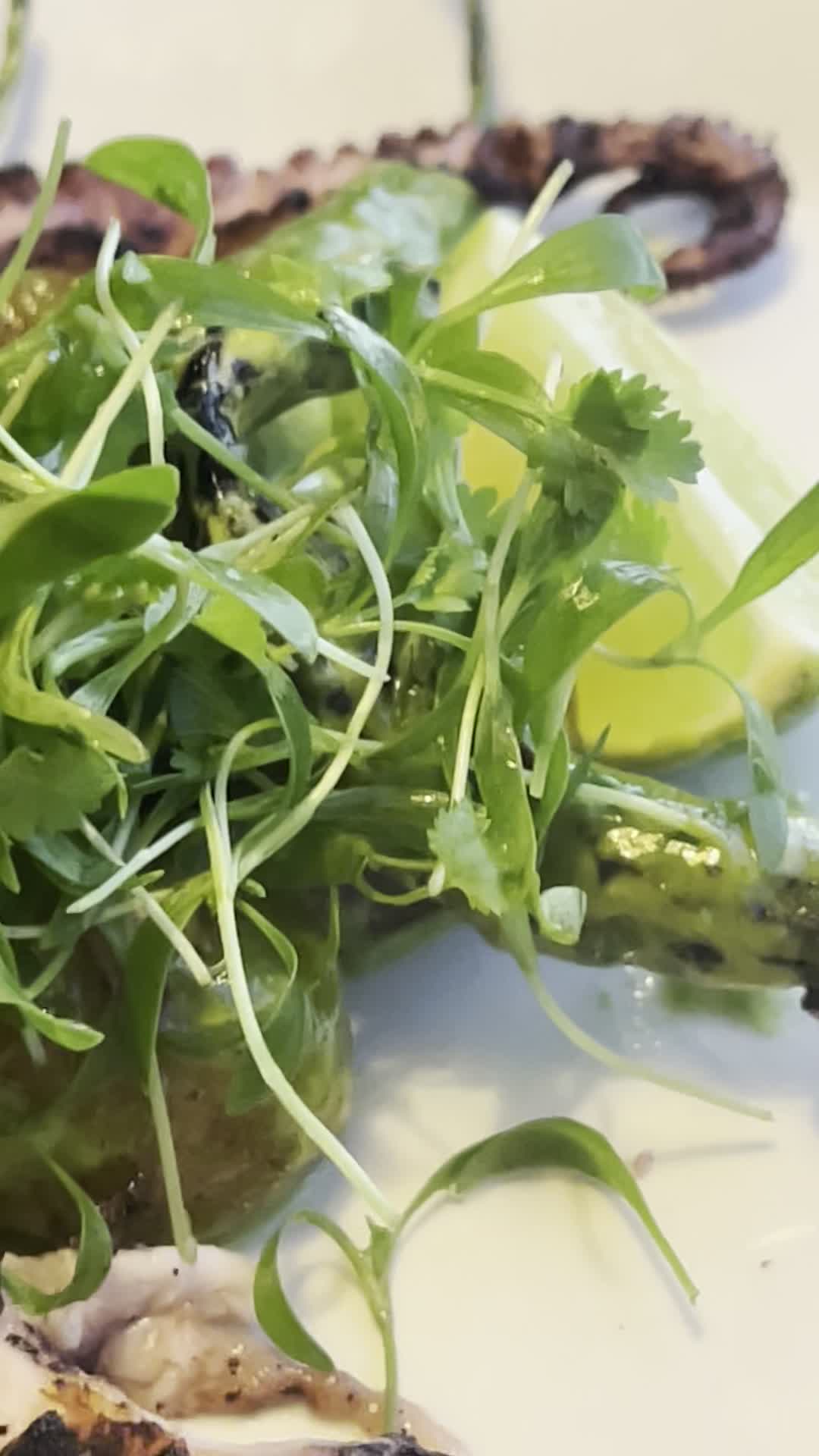 Video review of Georges at the Cove