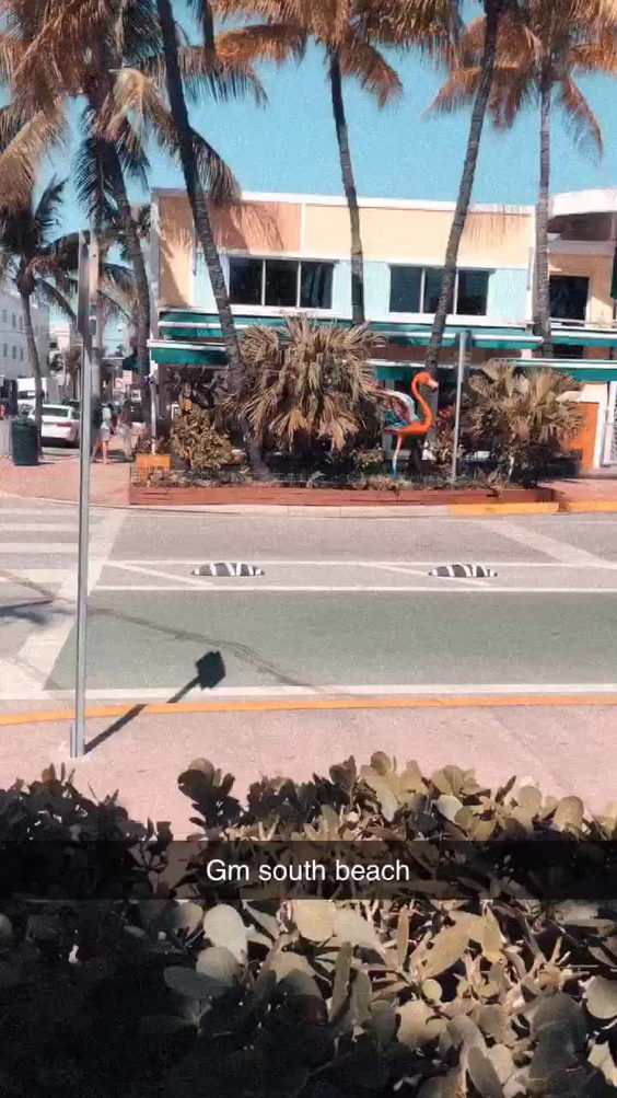 Muscle Beach South Beach