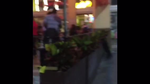 Il Ponte Vecchio Pizzeria e Trattoria