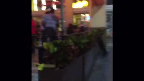 Il Ponte Vecchio Pizzeria e Trattoria