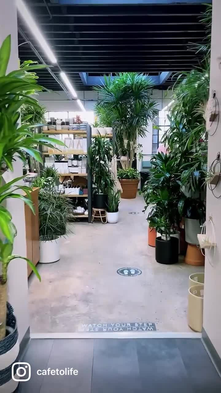 PlantShed with Englewood Florist, Inc.