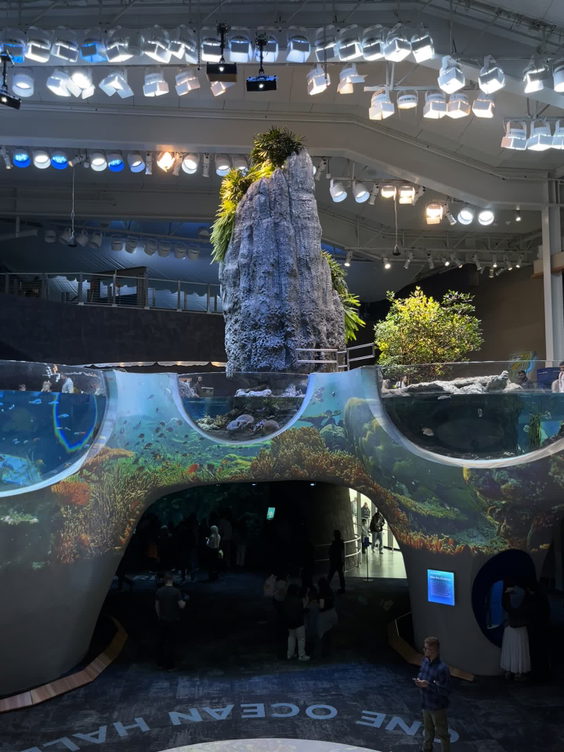 Aquarium Café