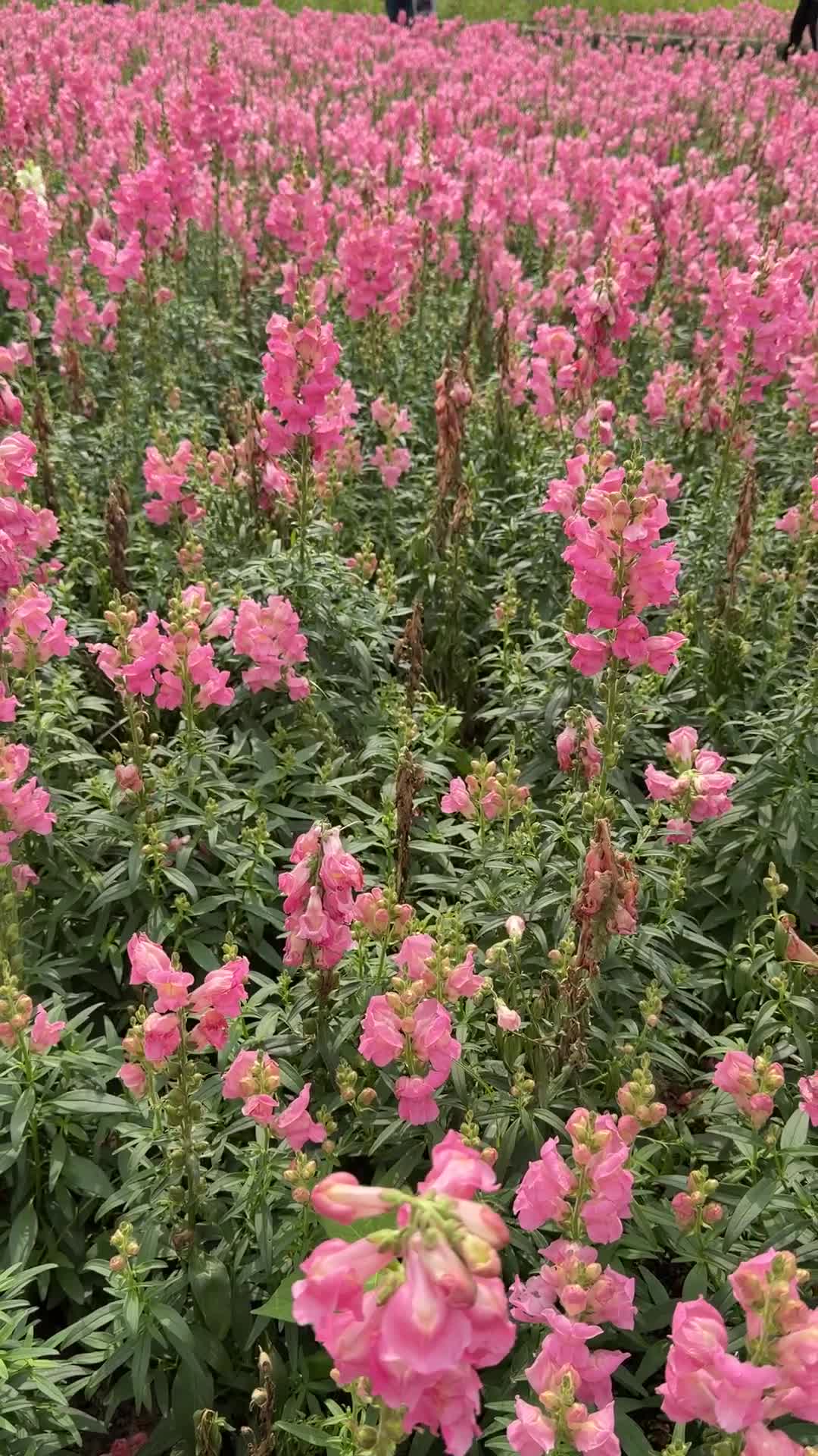 古亭河濱公園 