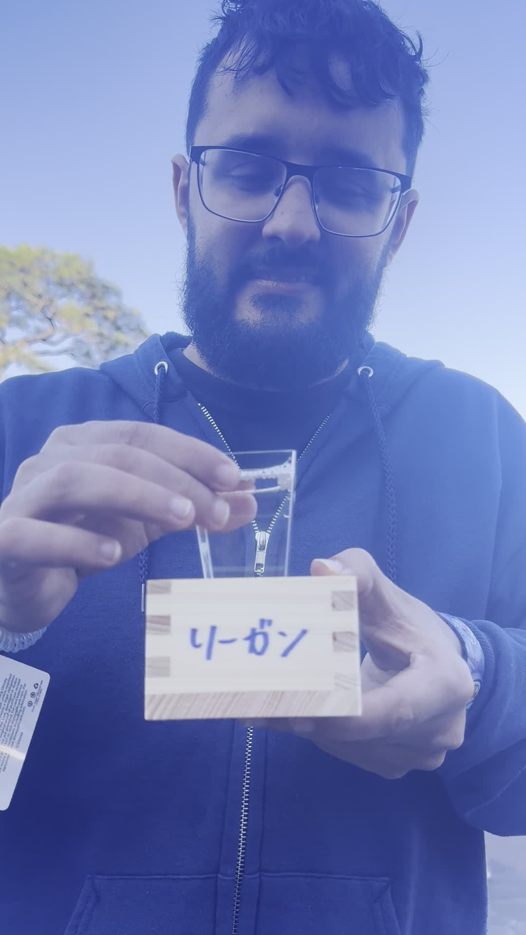 Video review of Japan Pavilion
