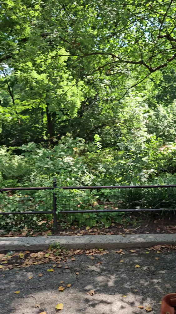 Central Park West- W 72 St