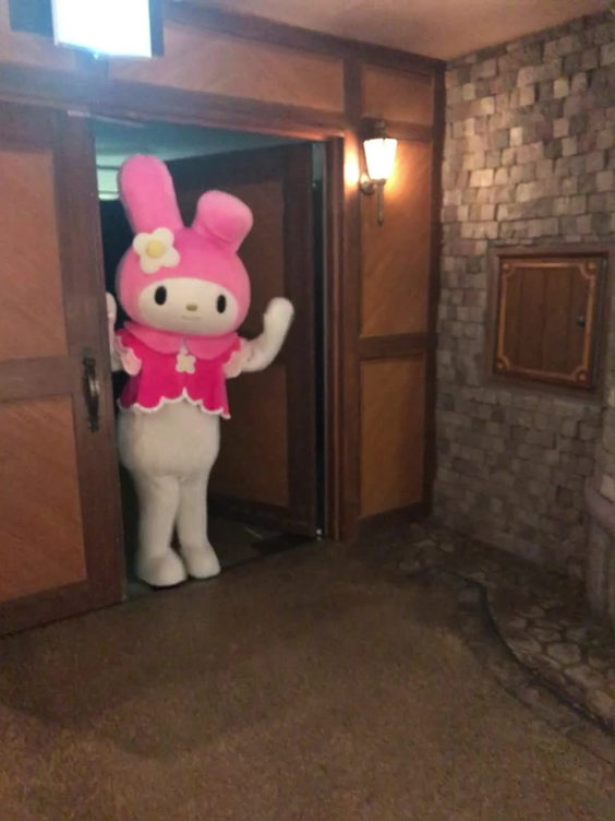Sanrio Puroland