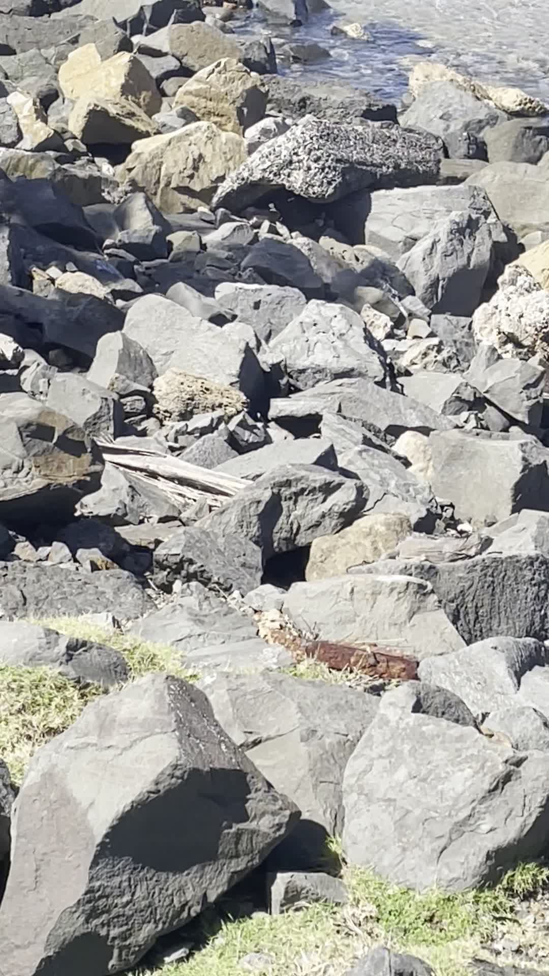 Video review of Old San Juan (Viejo San Juan)