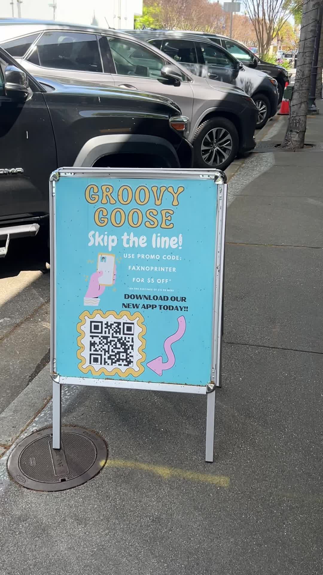 Groovy Goose