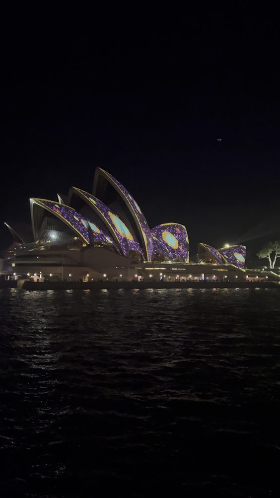 Vivid Sydney Light Cruises