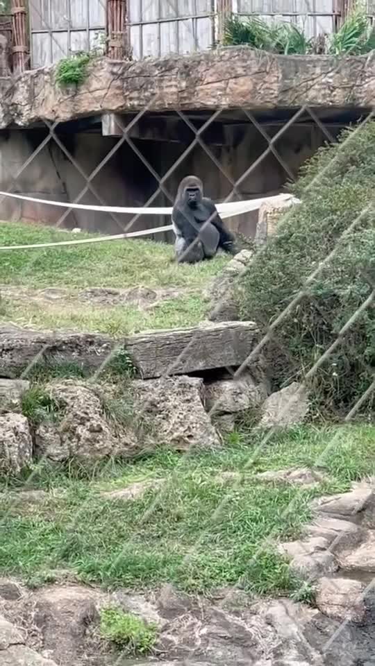 Saint Louis Zoo