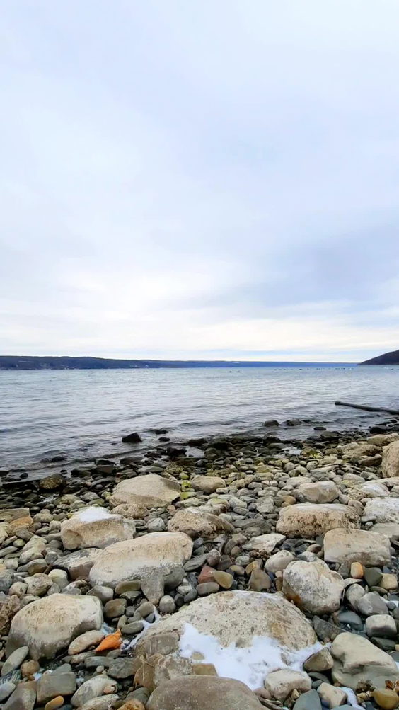 Salt Point