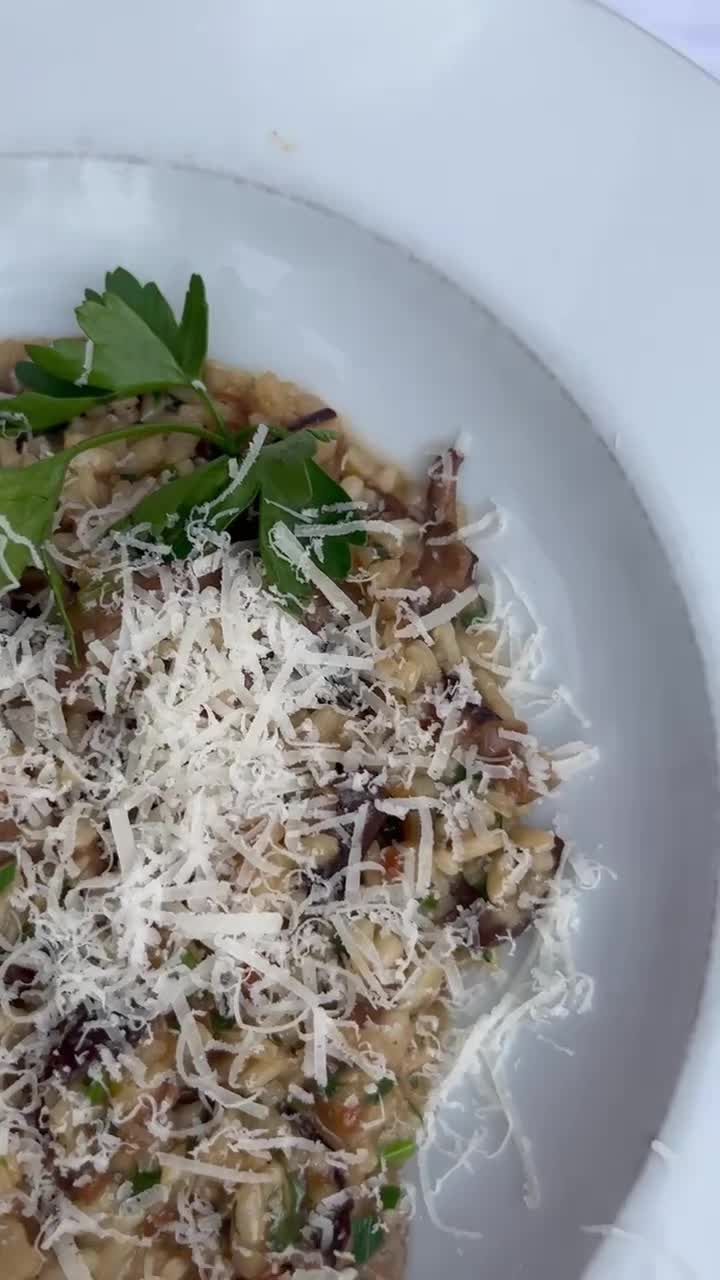 Video review of Renato's