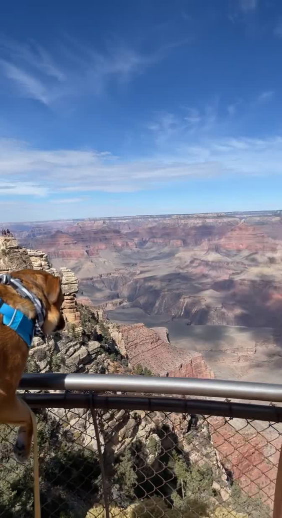 Grand Canyon Skywalk