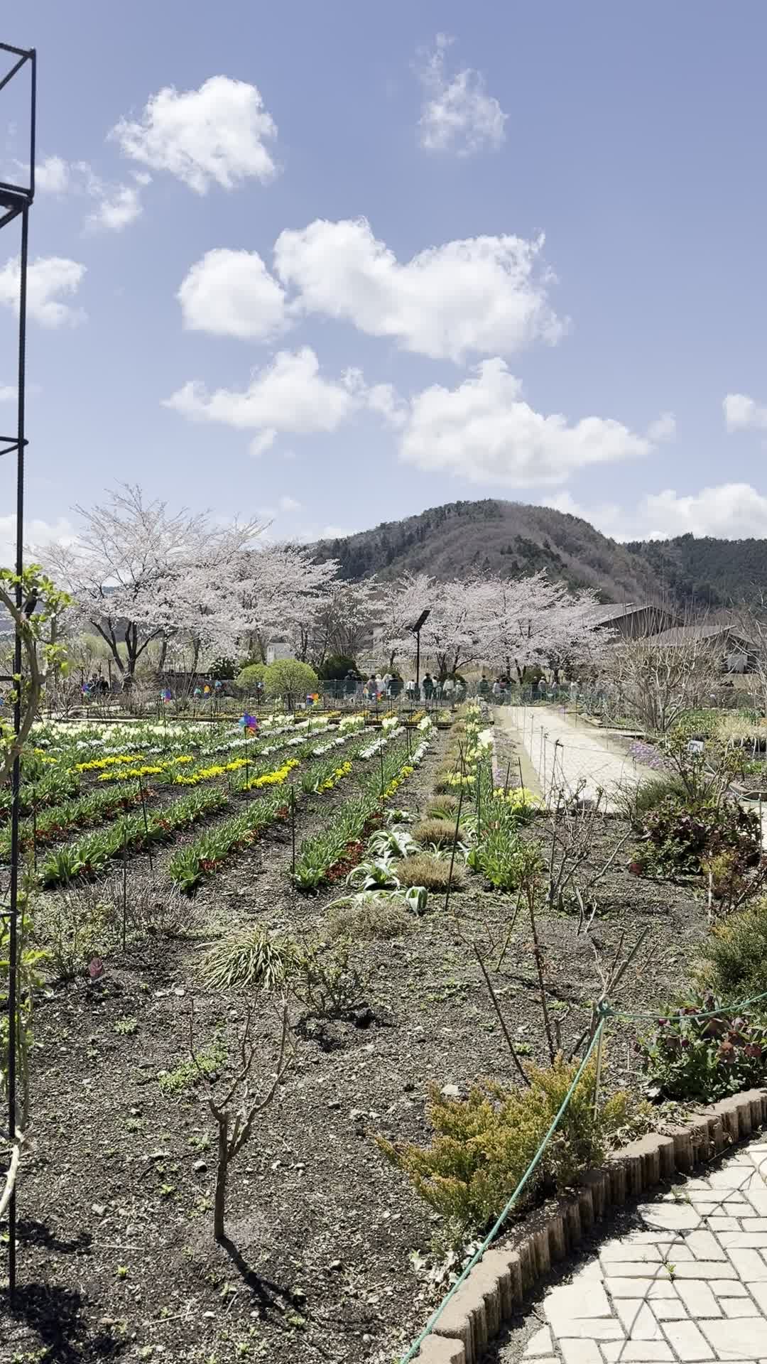 Oishi Park
