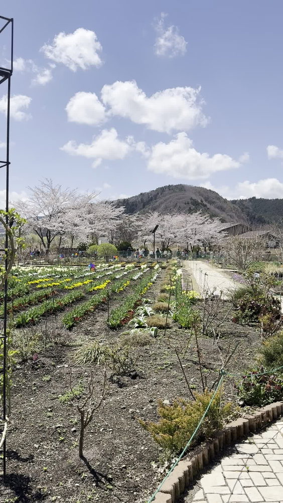 Oishi Park