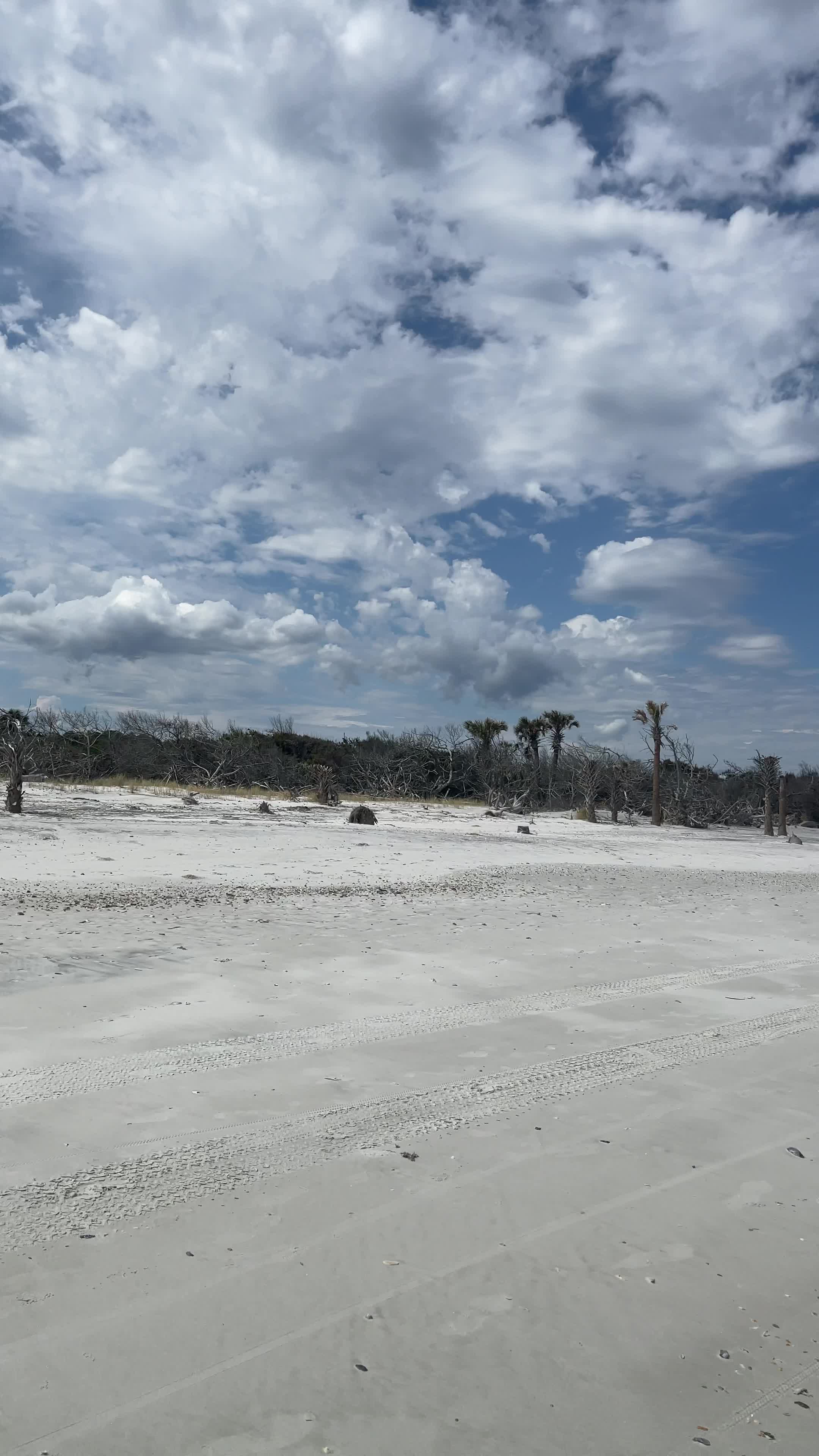 Little Talbot Island Dune Ridge Trail