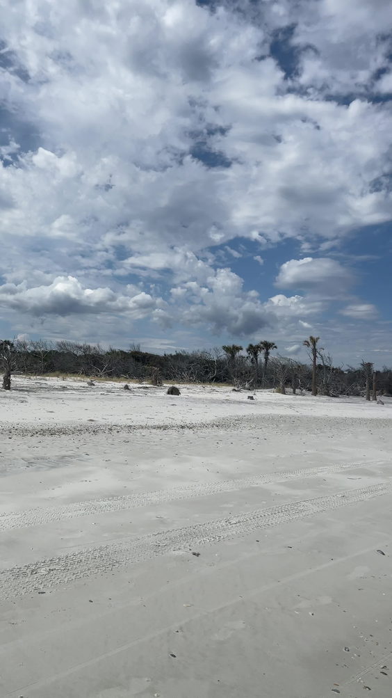 Little Talbot Island Dune Ridge Trail