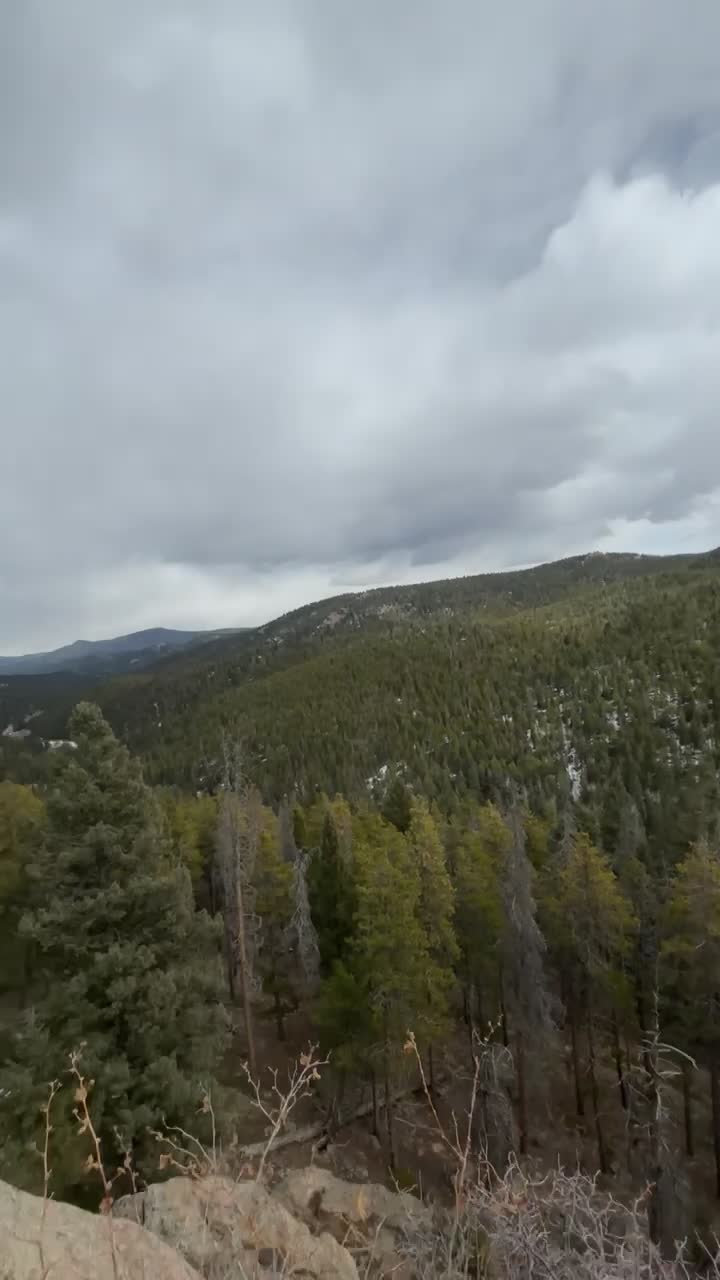 Maxwell Falls Trail
