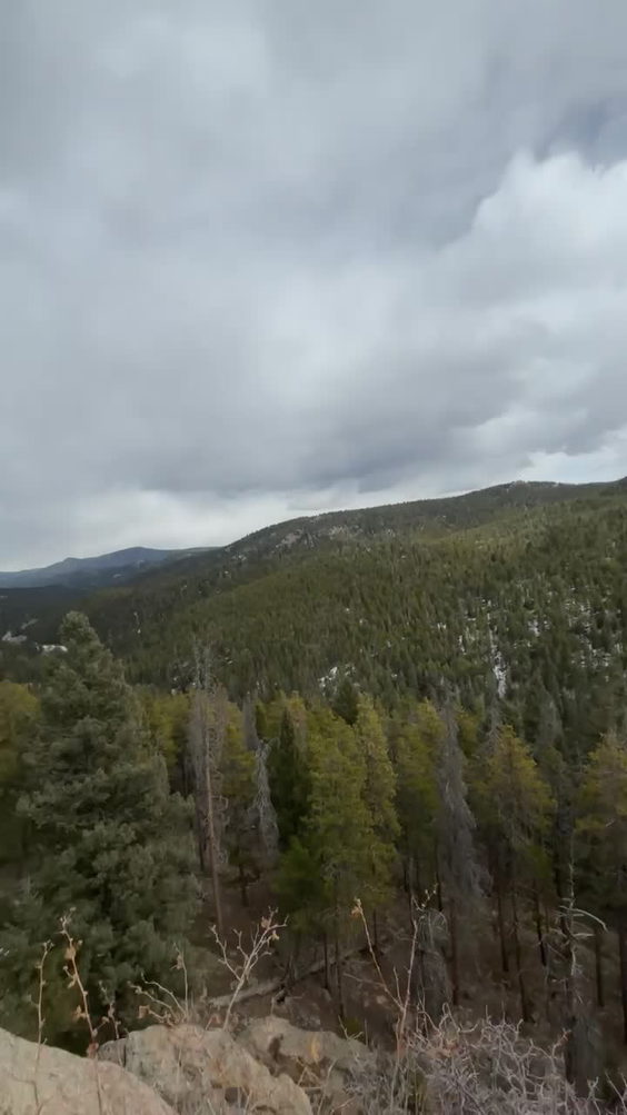 Maxwell Falls Trail