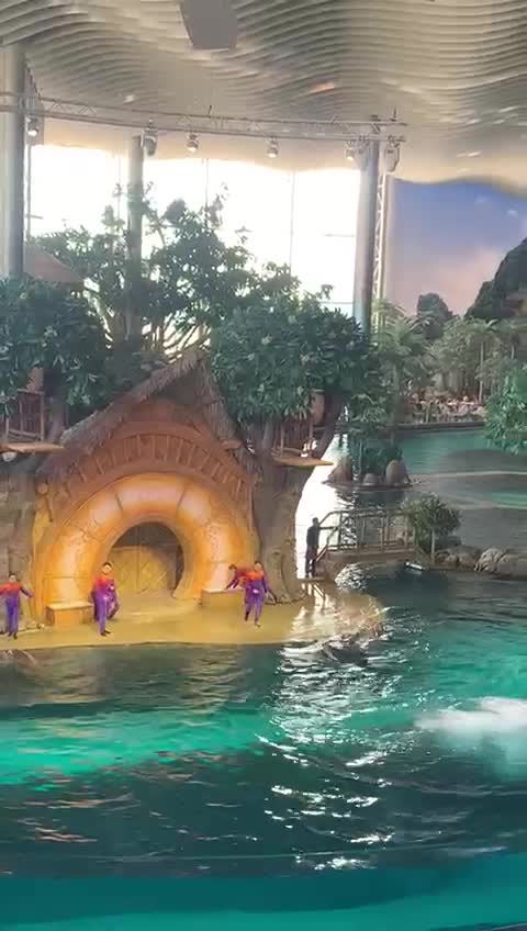 Sea World