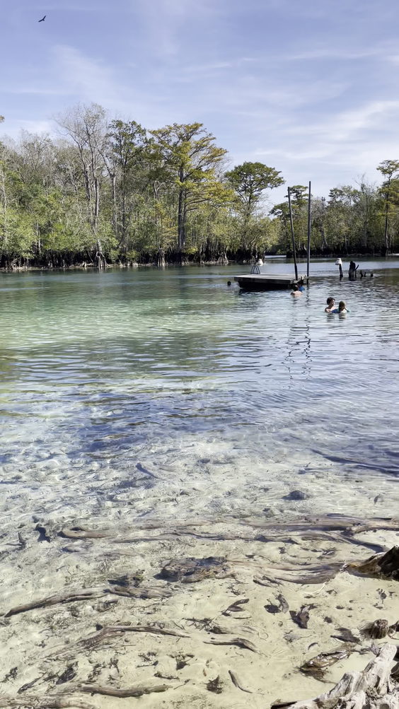 Ponce de Leon State Park