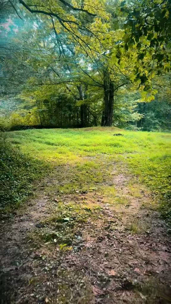 Wills Creek