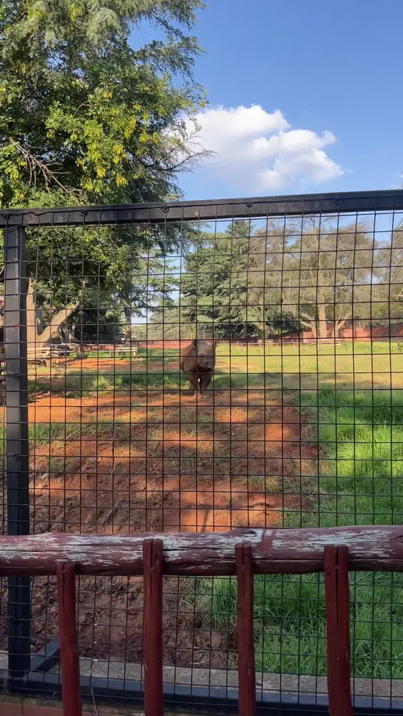 Johannesburg Zoo