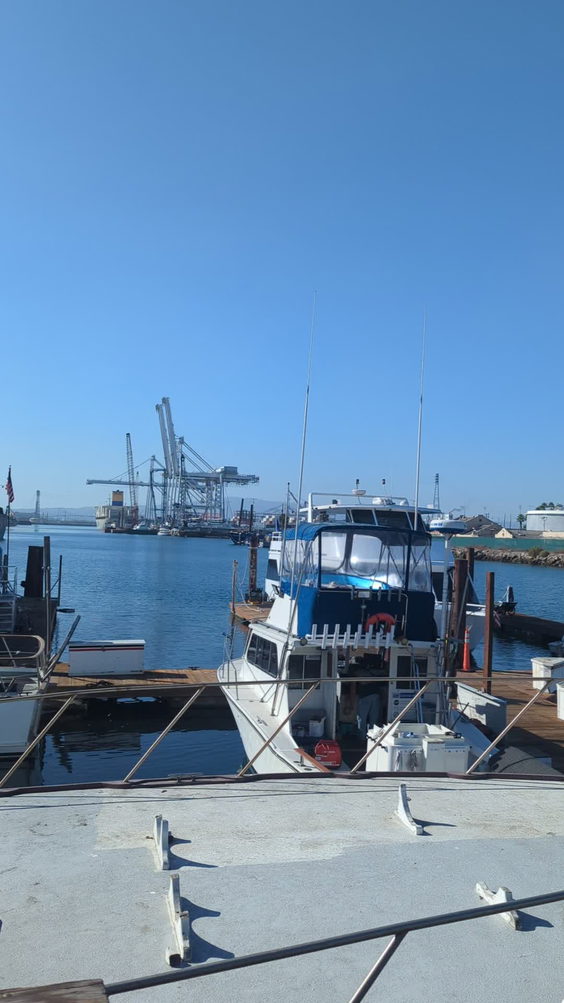 Berth 55 Seafood Deli