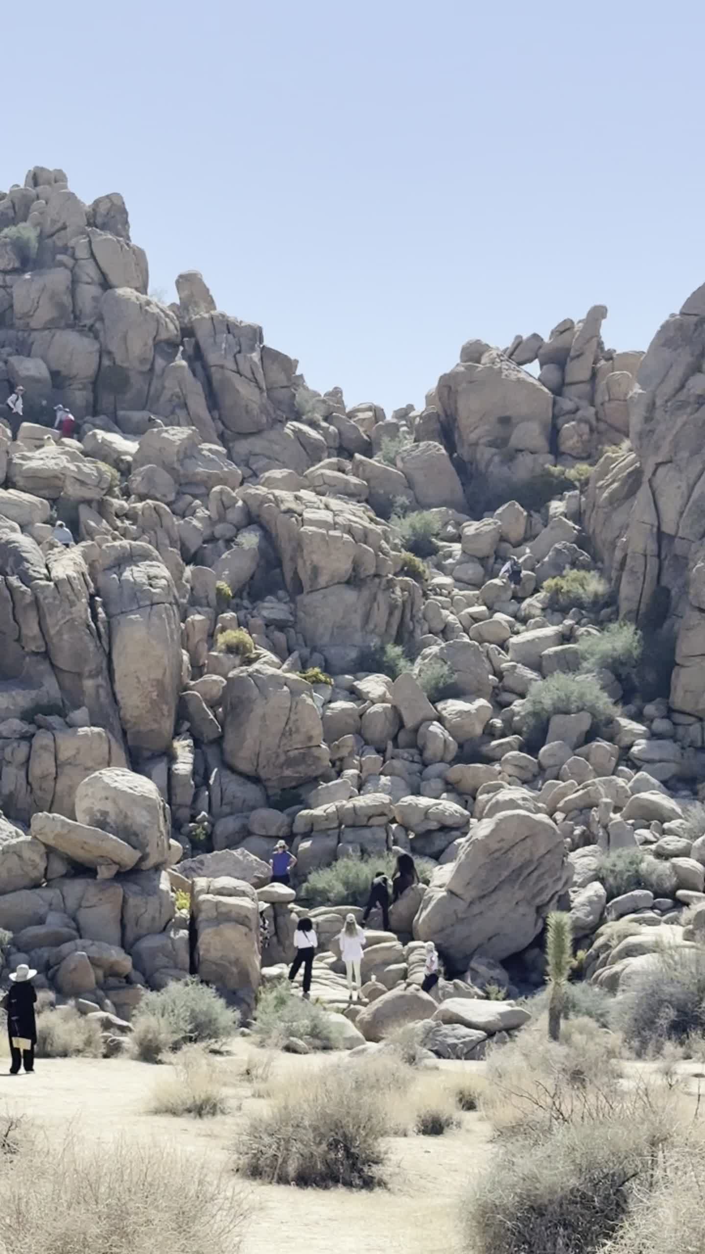 Joshua Tree National Park North Entrance Station